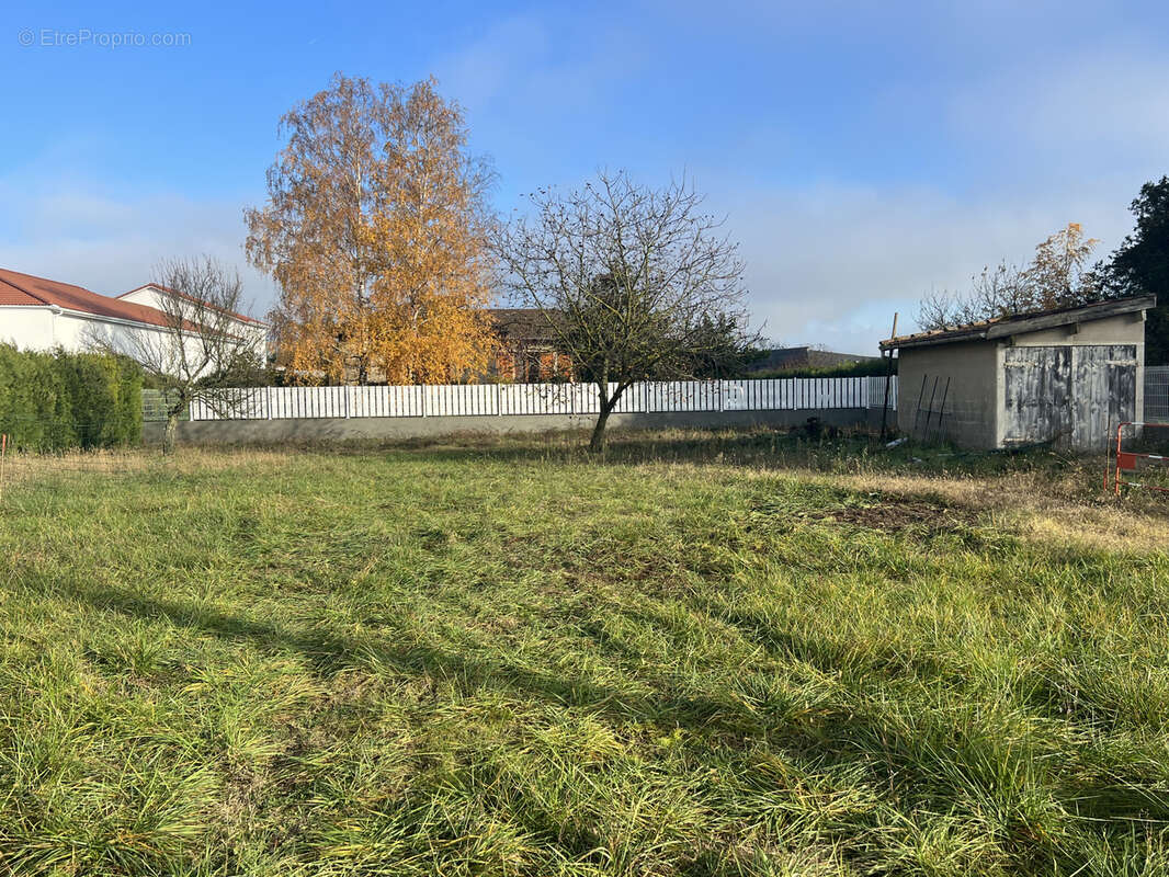 Terrain à AUBERIVES-SUR-VAREZE
