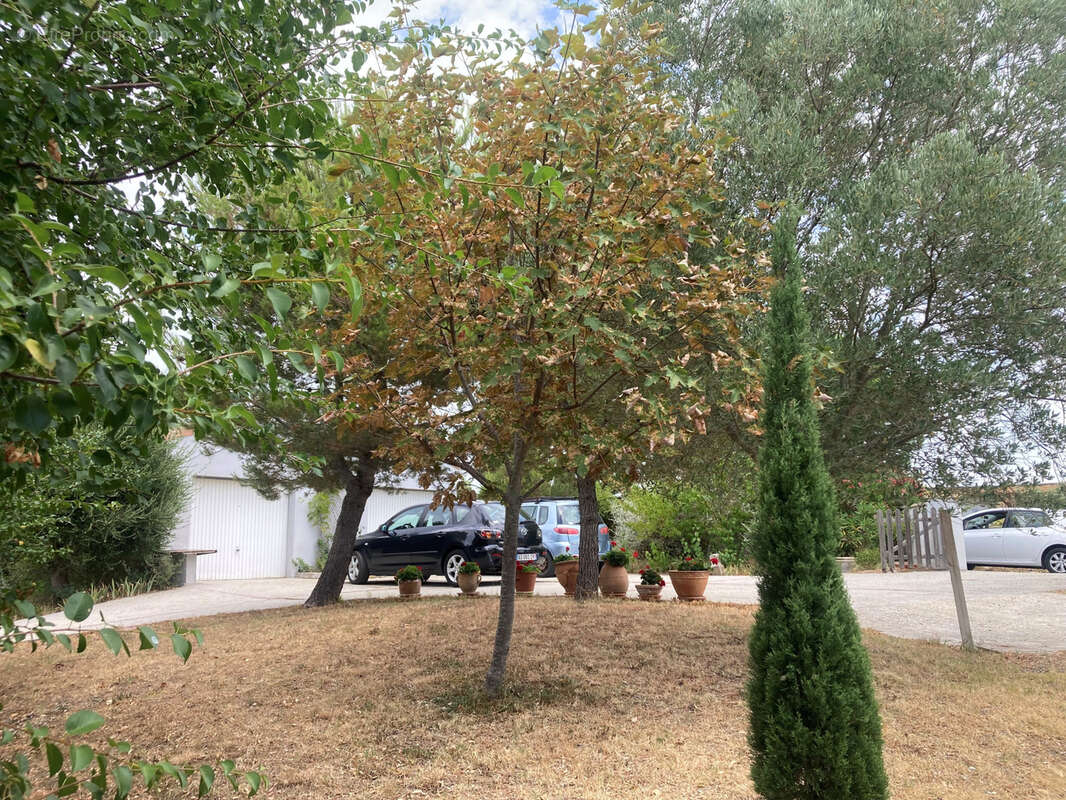 Village en hauteur entre Limoux et Carcassonne, villa de plain pieds, 2 chambres, avec terrasses et garage - photo 13