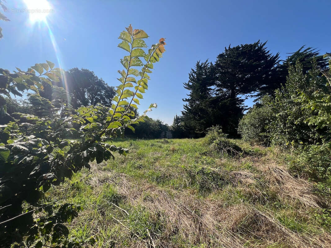 Terrain à LE POULIGUEN