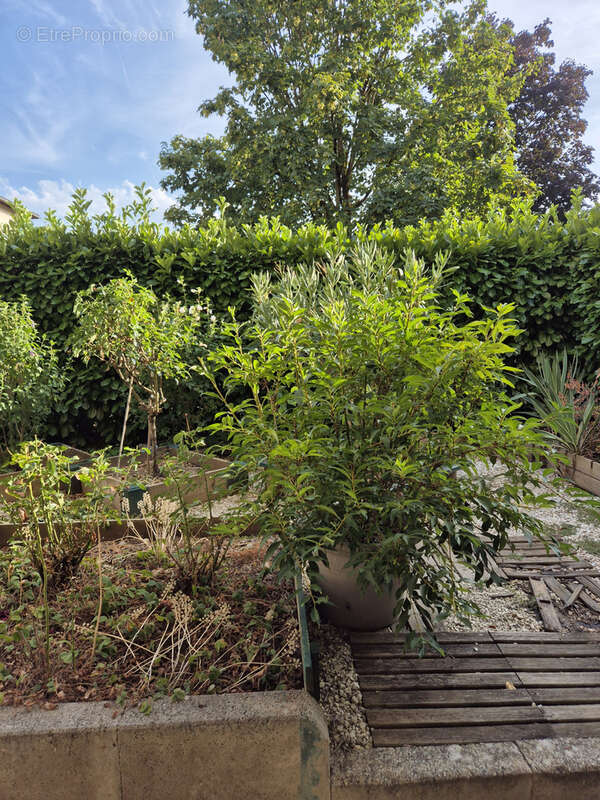 Appartement T3 avec jardin et garage - photo 7