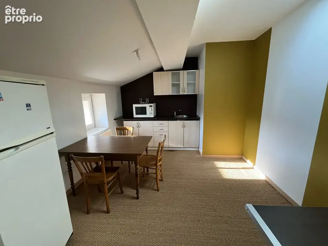 A vendre Hyper centre Bourg en Bresse Appartement  6 pièce(s) 220 m2, terrasse, Vérenda et cave - photo 9