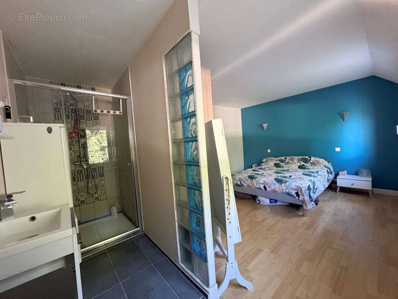 Maison à PELLOUAILLES-LES-VIGNES