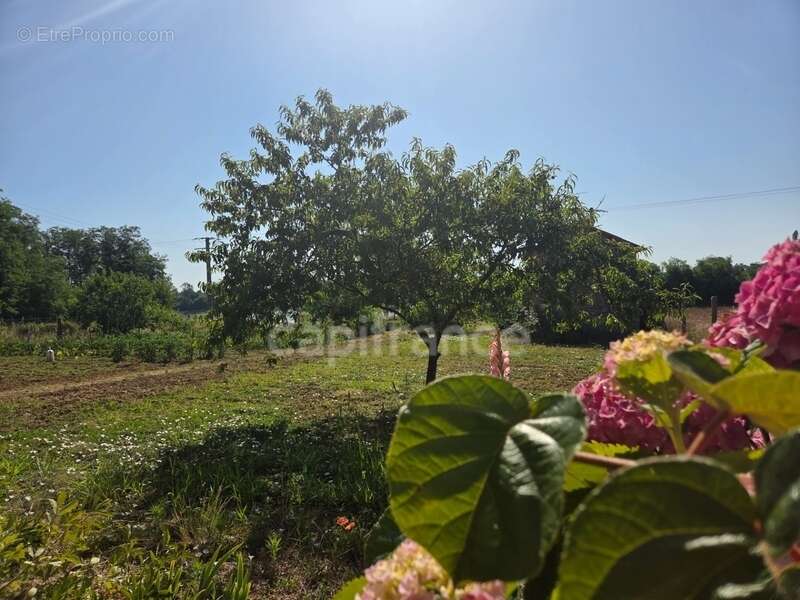 Vue panoramique et Fort potentiel d'Aménagement - photo 11