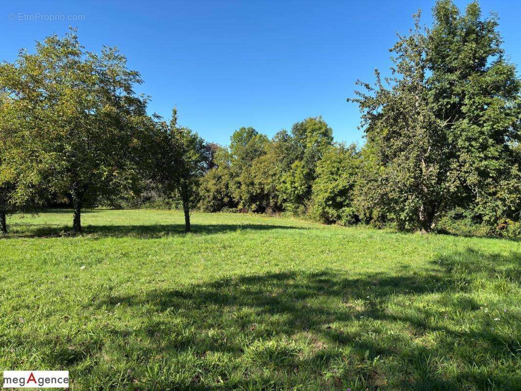 Terrain à SAINT-GERMAIN-LES-VERGNES