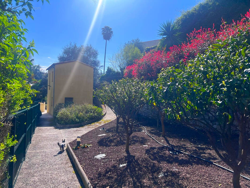 Appartement à MENTON