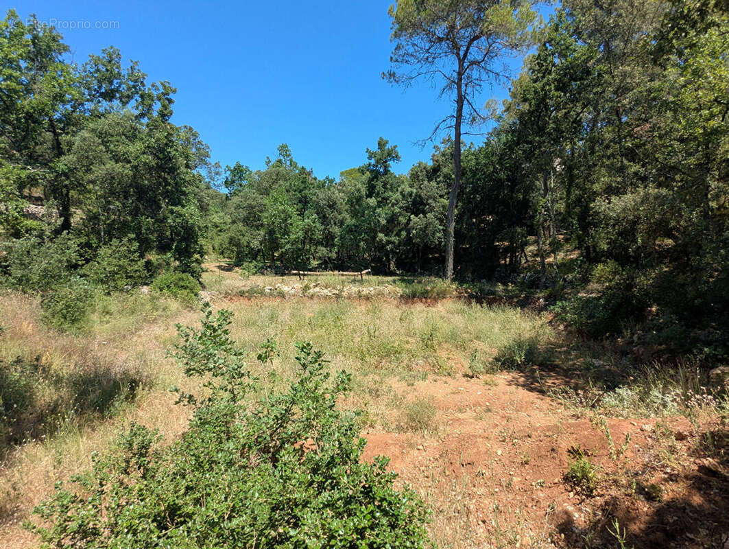 Terrain à SILLANS-LA-CASCADE