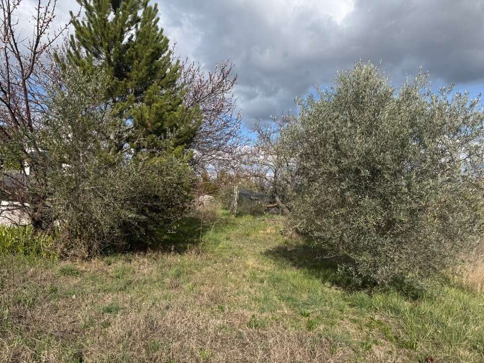 Terrain 1232 m² à Villeneuve  - photo 2