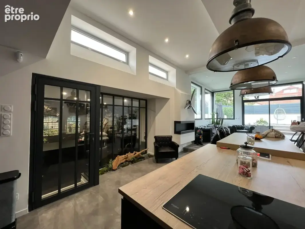 Gieres loft 152m2 + jardin + couloir de nage - photo 2