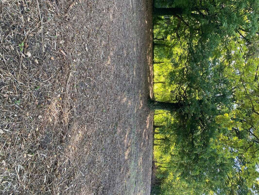 Photo 2 - Terrain à CLEREY