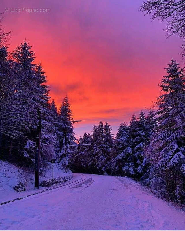 Appartement à MONT-DORE