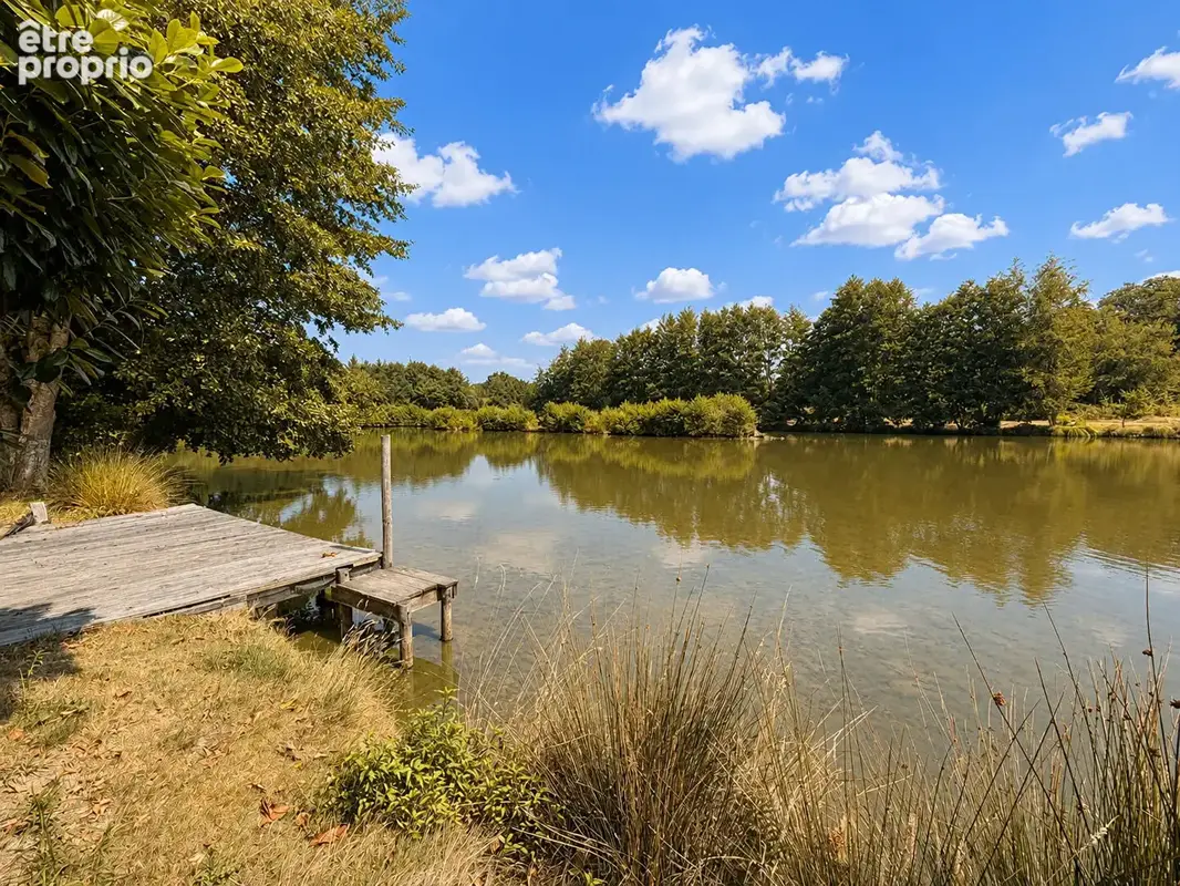 HAUTE VIENNE - Superbe propriété avec étang de pêche à la carpe conforme et 2,5 hectares de terrain - photo 6