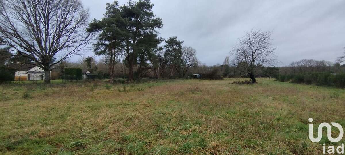 Photo 3 - Terrain à VILLEFRANCHE-SUR-CHER