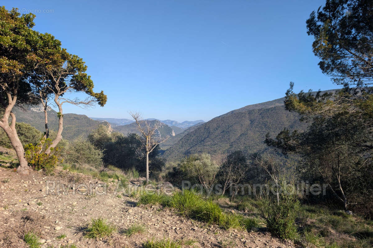 Terrain 1562 m² à Pierrefeu  - photo 5