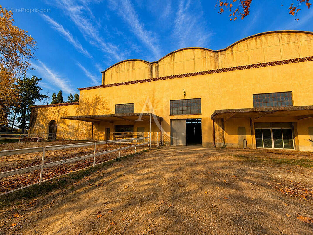 Domaine de Provence (Mas Arles) - photo 9