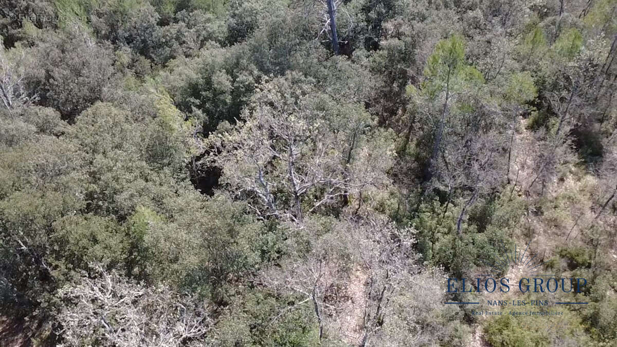 Terrain à NANS-LES-PINS