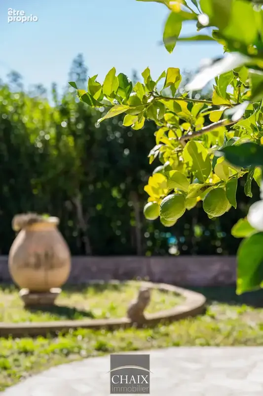 La ciotat   maison de plain-pied avec jardin de 1 000 m2 - photo 4