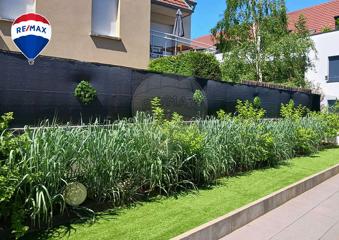 Appartement à RIXHEIM