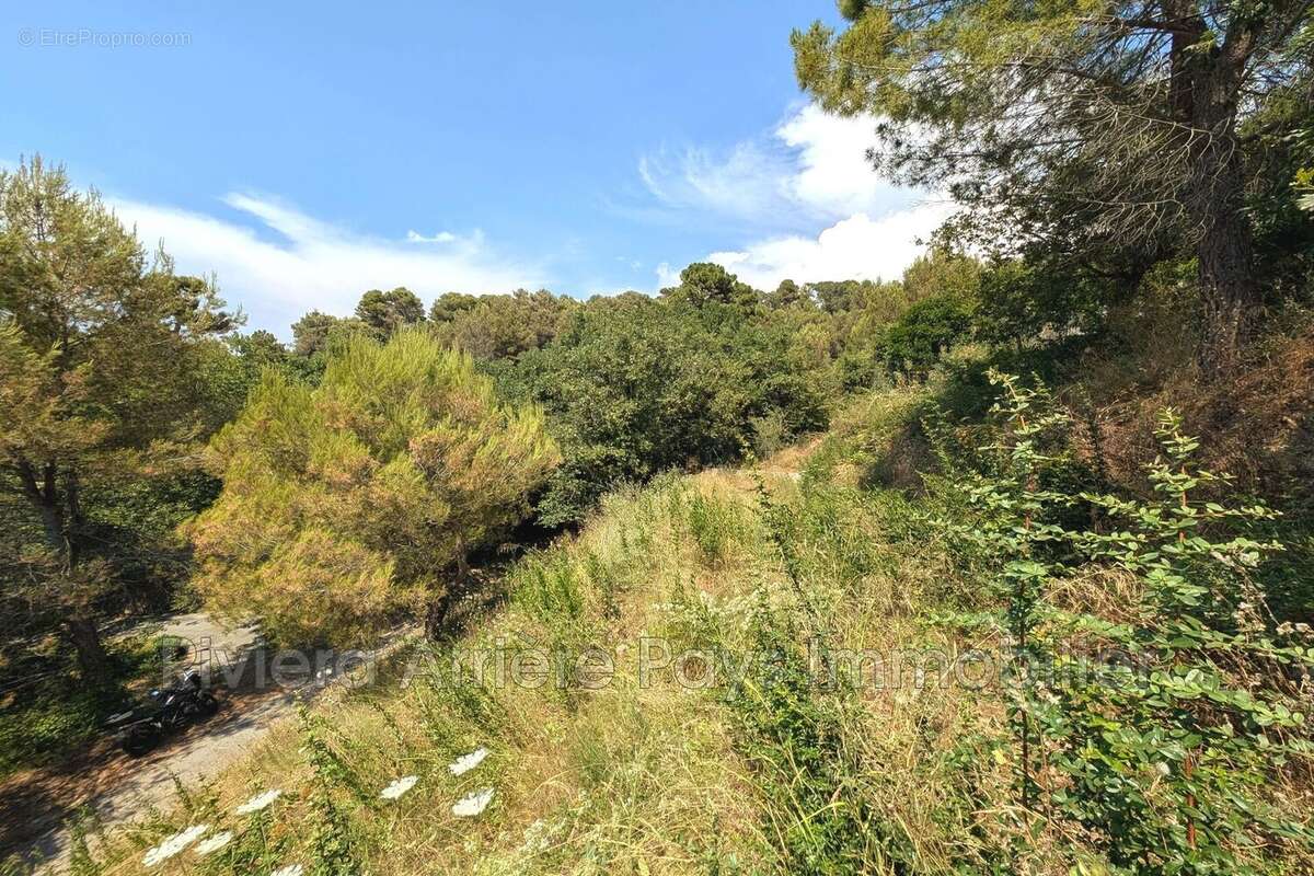 Terrain 1033 m² à Colomars  - photo 4