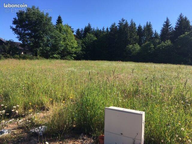 Terrain à BRIVE-LA-GAILLARDE