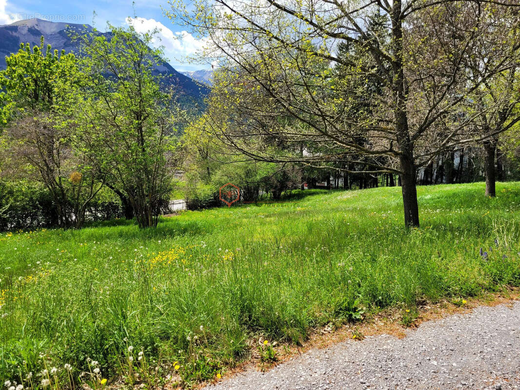 Terrain à SAINT-BONNET-EN-CHAMPSAUR