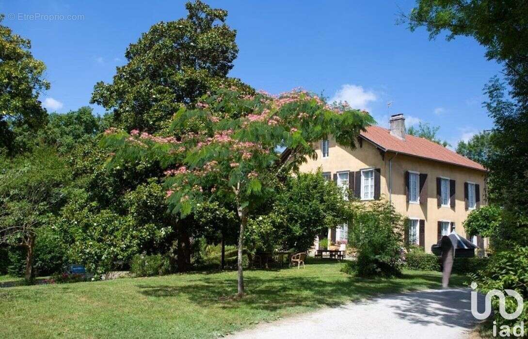 Photo 8 - Commerce à SALIES-DE-BEARN