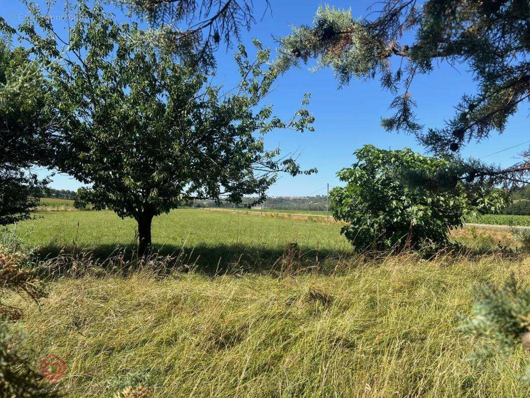 Maison à LEZAT-SUR-LEZE