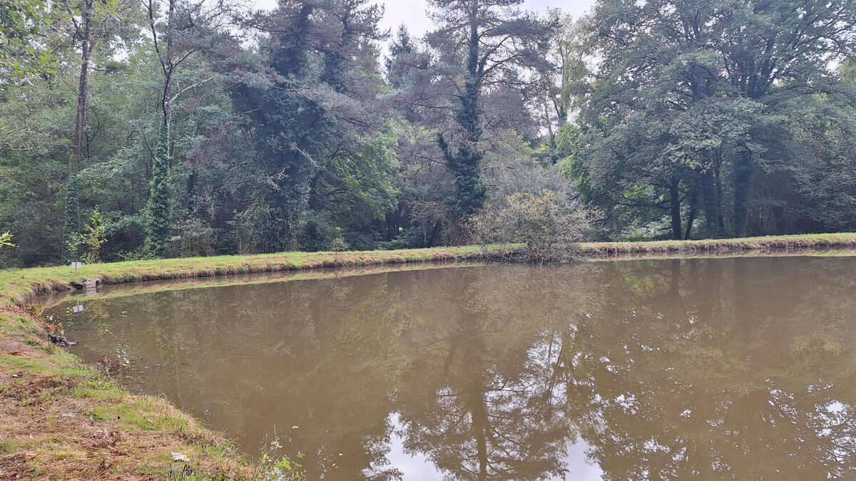 20250925_150811 - Terrain à PIEGUT-PLUVIERS