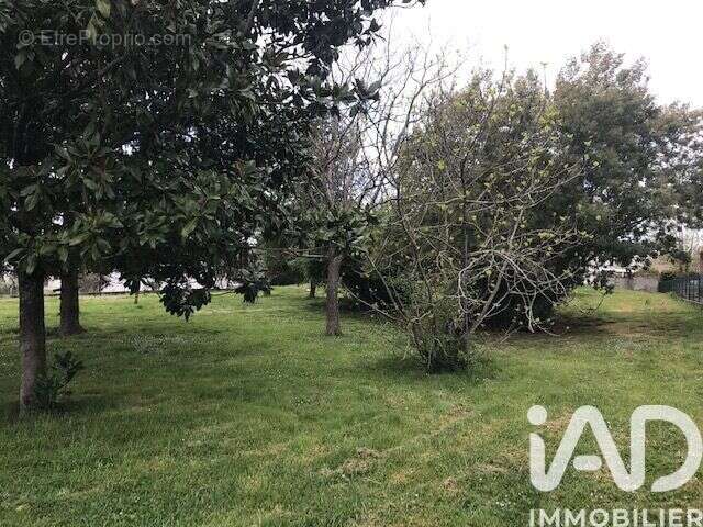 Photo 2 - Terrain à AUTERIVE