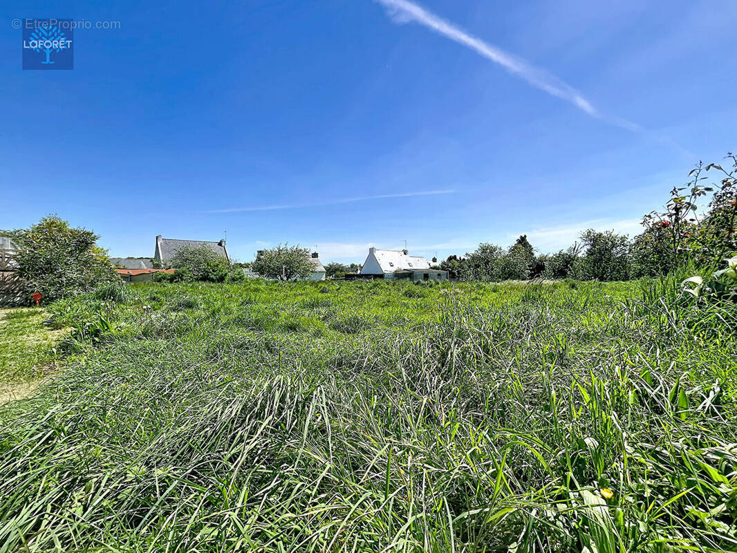Terrain à SAINTE-HELENE