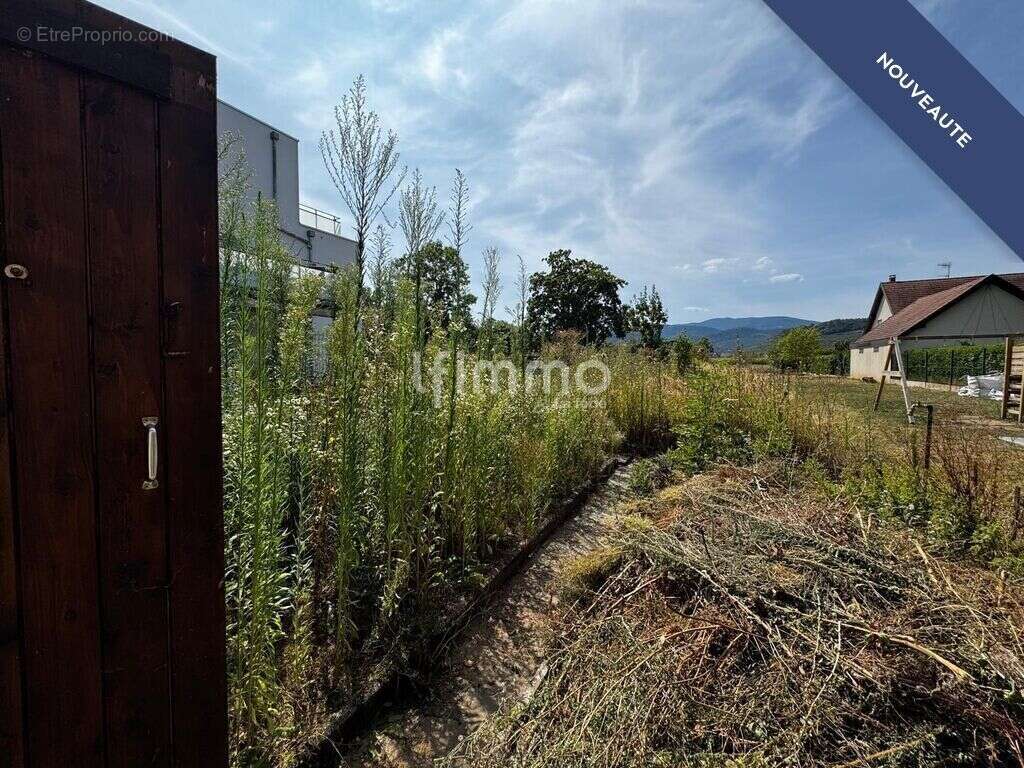maison mitoyenne 4 pièces sur 8 ares de terrain - photo 12