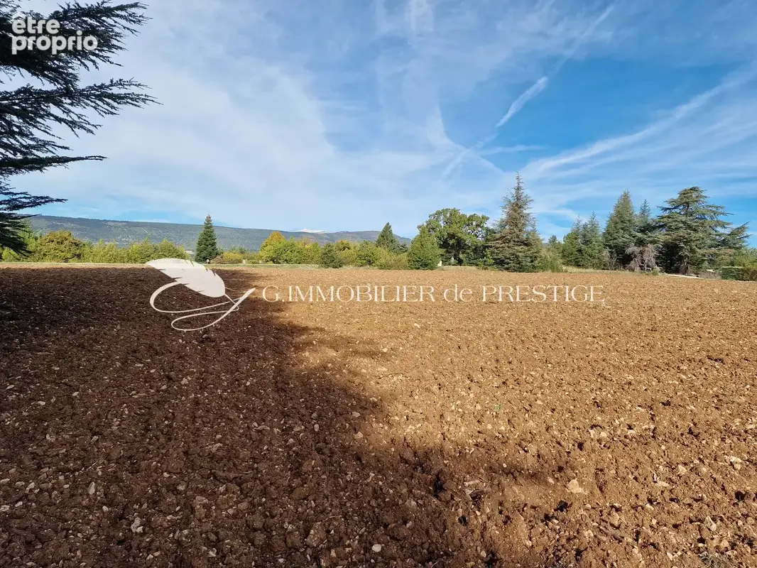 Un terrain d’exception avec vue sur le Mont Ventoux. - photo 5