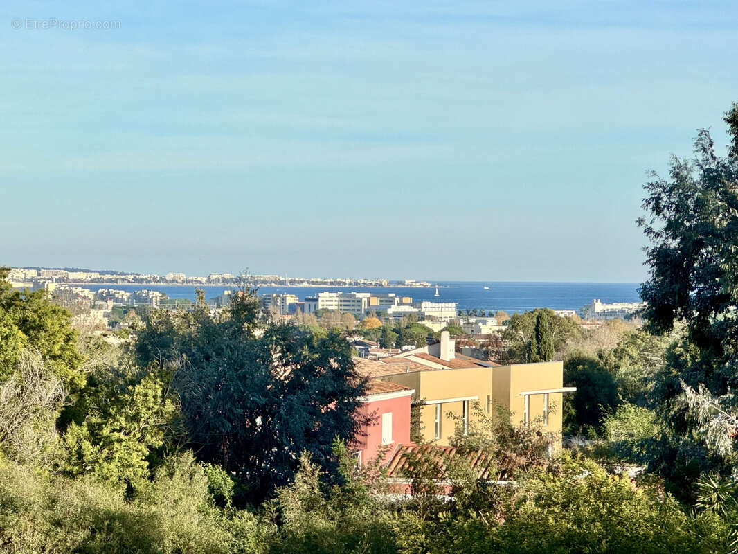 Maison à MANDELIEU-LA-NAPOULE