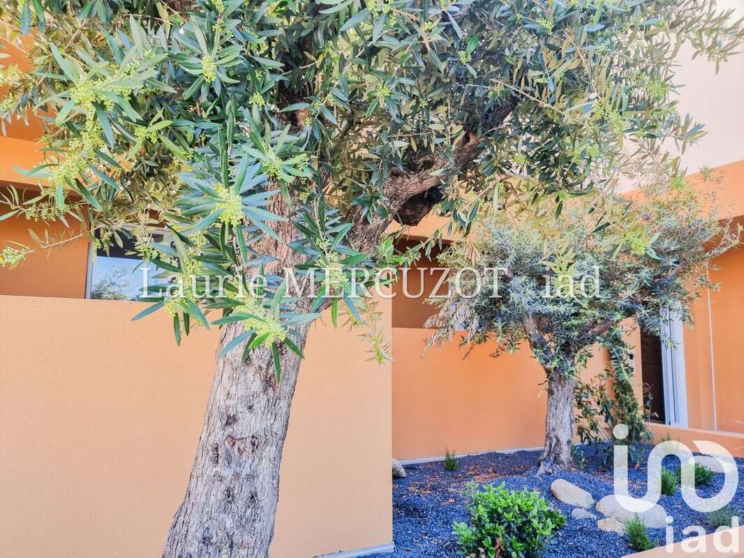 Photo 2 - Appartement à POLLESTRES