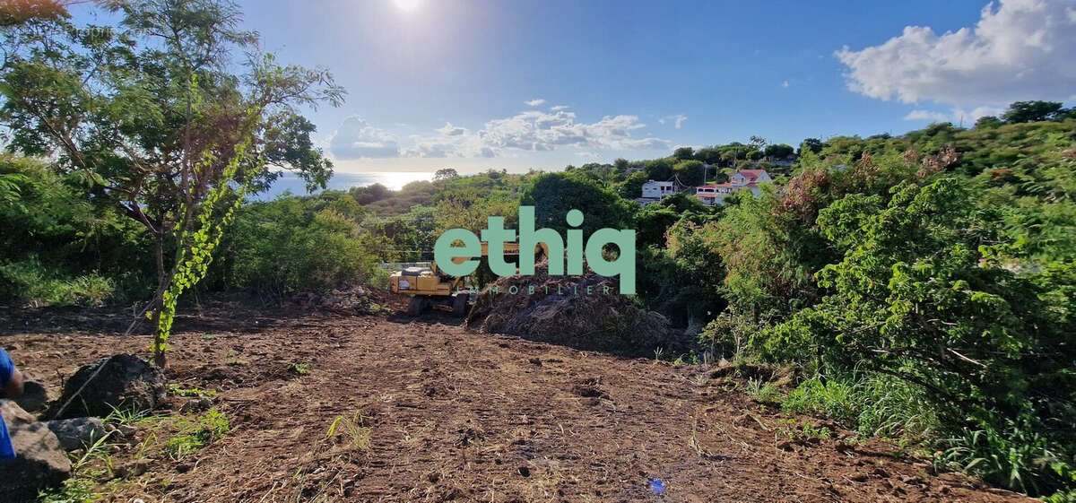 Terrain à VIEUX-HABITANTS