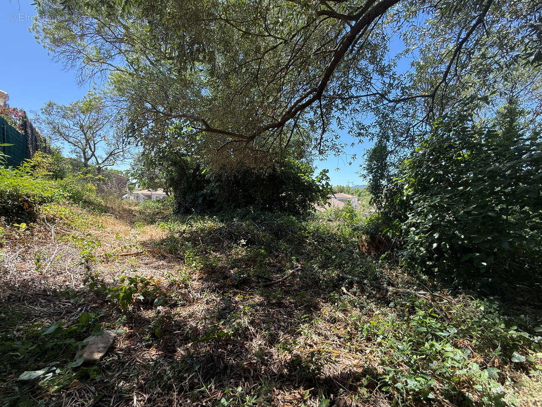 Terrain à BELARGA