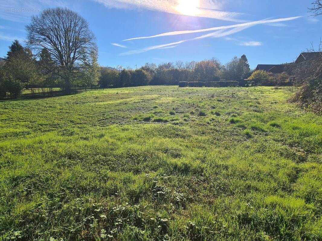 Terrain à MONTAILLEUR