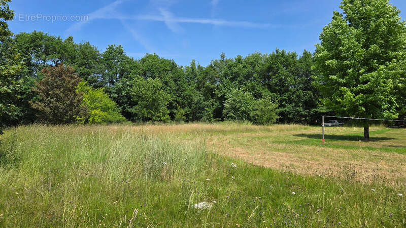 Maison à ORADOUR-SUR-GLANE