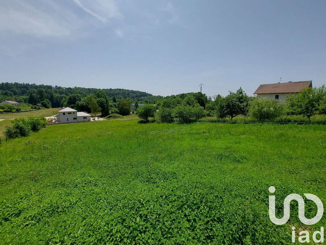 Photo 7 - Maison à BONLIEU