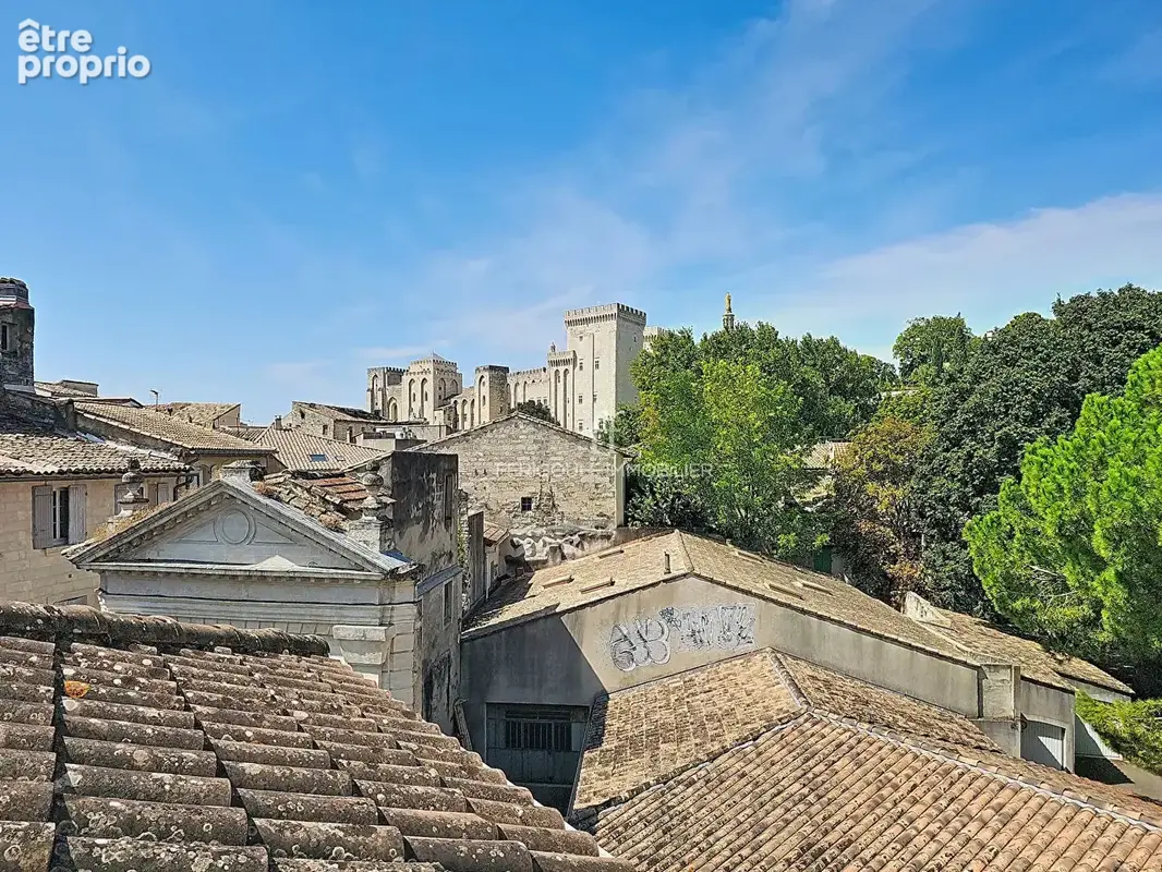 Avignon intra-muros, Maison de caractère de 210m² avec garage et terrasse - photo 15