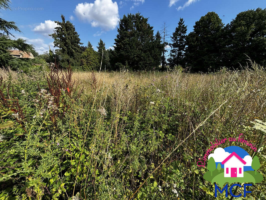 Terrain à CHAUFOUR-LES-BONNIERES