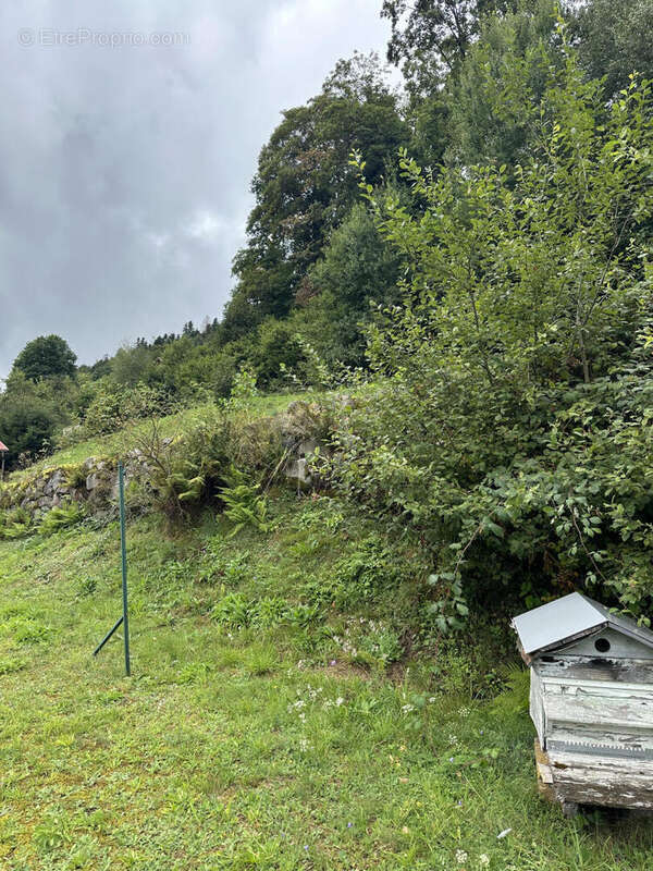 IMG_0832 - Maison à LE MENIL