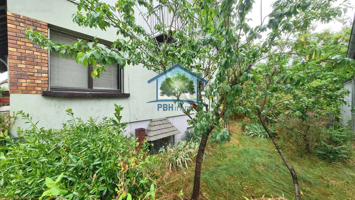 Mertzwiller - immeuble 4 logements - photo 15