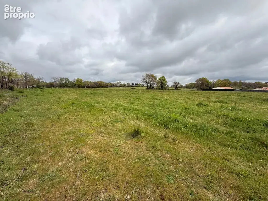 Terrain 315 m²  libre de constructeur - photo 2