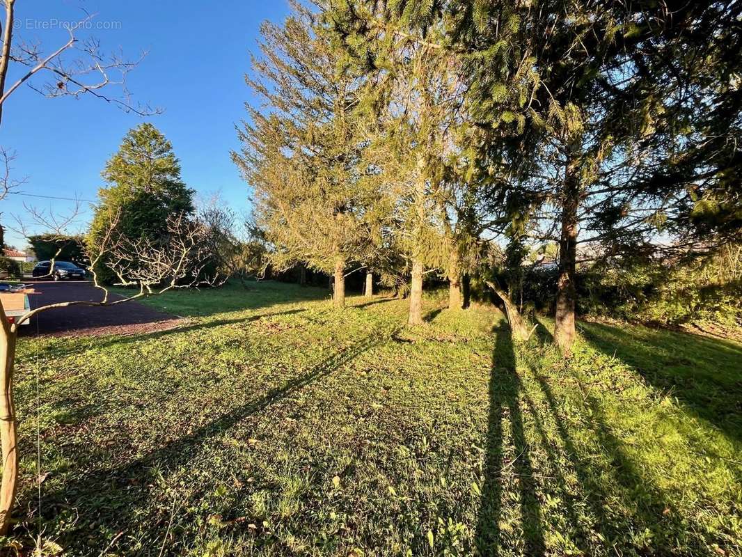 Terrain à COMMEQUIERS