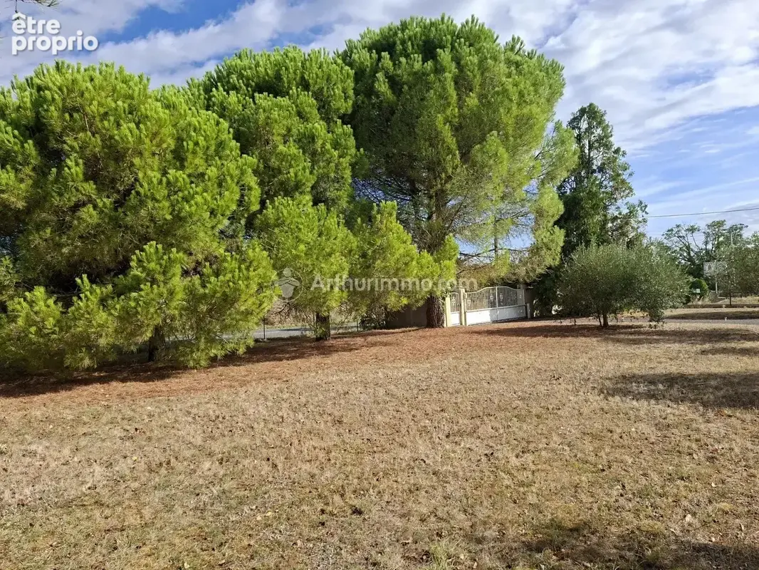 Vente Maison Viviers-les-lavaur(81500) 329 000ï¿œ - photo 4