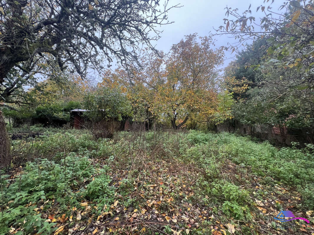 jardin - Maison à SIDIAILLES