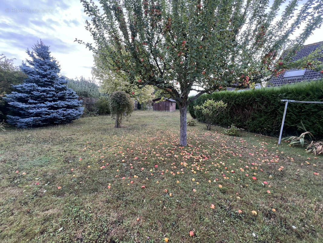 Maison à ANGERVILLE-LA-CAMPAGNE