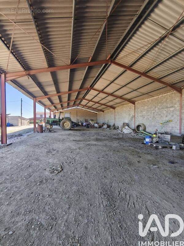 Photo 1 - Terrain à SAINTE-COLOMBE-EN-BRUILHOIS