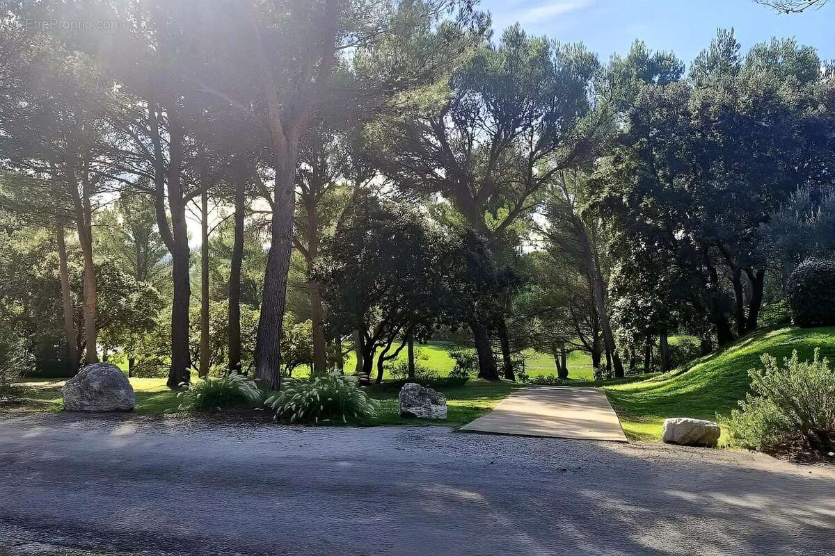 Photo 4 - Appartement à SAUMANE-DE-VAUCLUSE