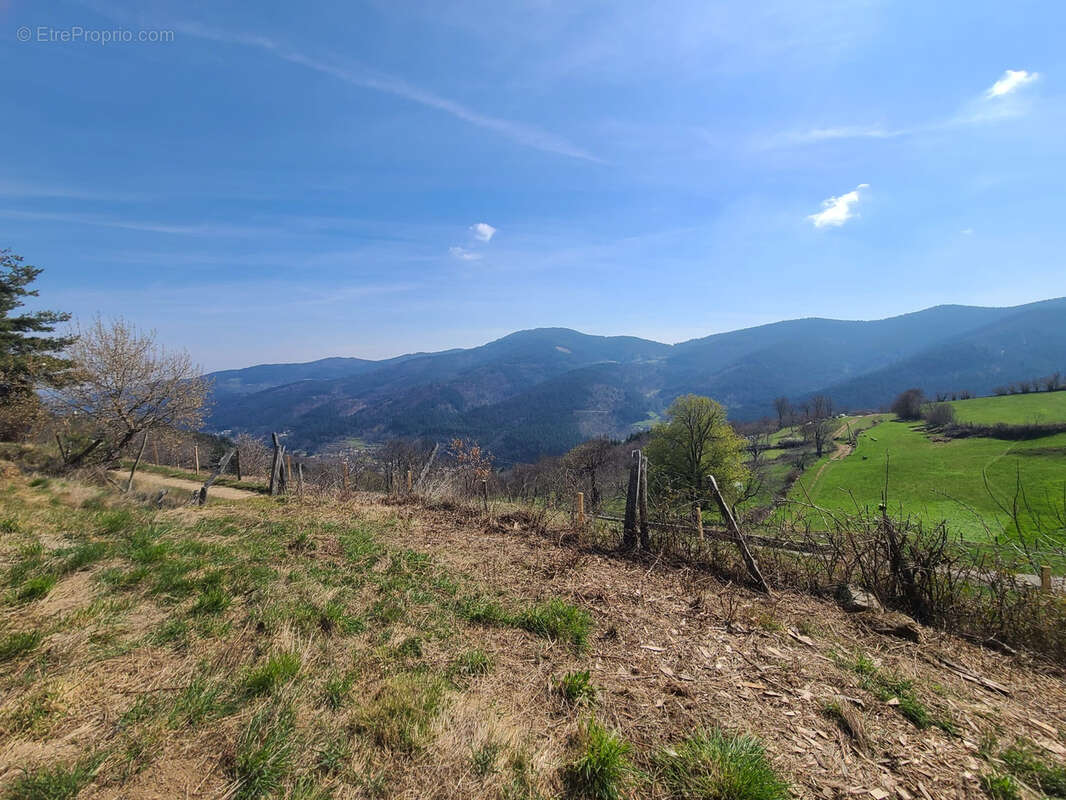 Terrain à MONESTIER